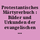 Protestantisches Märtyrerbuch : Bilder und Urkunden der evangelischen Märtyrergeschichte aus vier Jahrhunderten