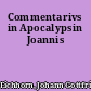 Commentarivs in Apocalypsin Joannis