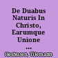 De Duabus Naturis In Christo, Earumque Unione Hypostatica Tractatus