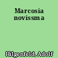 Marcosia novissma