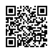 QR Code (код быстрого отклика)