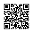 QR Code (код быстрого отклика)