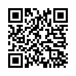 QR Code (код быстрого отклика)