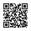 QR Code (код быстрого отклика)