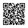 QR Code (код быстрого отклика)