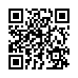 QR Code (код быстрого отклика)