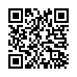 QR Code (код быстрого отклика)