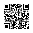 QR Code (код быстрого отклика)