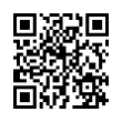 QR Code (код быстрого отклика)