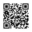 QR Code (код быстрого отклика)