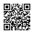 QR Code (код быстрого отклика)