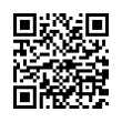 QR Code (код быстрого отклика)