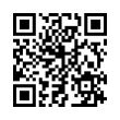 QR Code (код быстрого отклика)