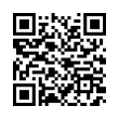 QR Code (код быстрого отклика)