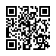 QR Code (код быстрого отклика)