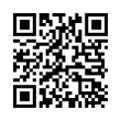 QR Code (код быстрого отклика)