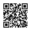 QR Code (код быстрого отклика)