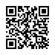 QR Code (код быстрого отклика)