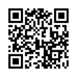 QR Code (код быстрого отклика)