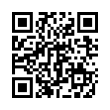 QR Code (код быстрого отклика)