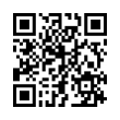 QR Code (код быстрого отклика)