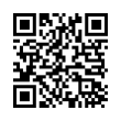 QR Code (код быстрого отклика)