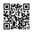 QR Code (код быстрого отклика)