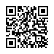 QR Code (код быстрого отклика)