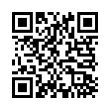 QR Code (код быстрого отклика)