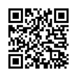 QR Code (код быстрого отклика)