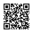 QR Code (код быстрого отклика)