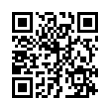 QR Code (код быстрого отклика)