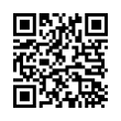 QR Code (код быстрого отклика)