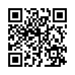 QR Code (код быстрого отклика)