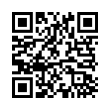 QR Code (код быстрого отклика)