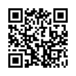 QR Code (код быстрого отклика)