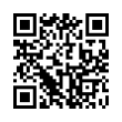 QR Code (код быстрого отклика)