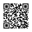 QR Code (код быстрого отклика)