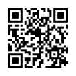 QR Code (код быстрого отклика)