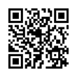 QR Code (код быстрого отклика)