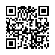 QR Code (код быстрого отклика)