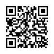 QR Code (код быстрого отклика)