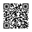 QR Code (код быстрого отклика)