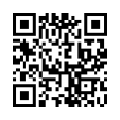 QR Code (код быстрого отклика)