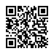 QR Code (код быстрого отклика)