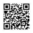 QR Code (код быстрого отклика)