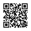 QR Code (код быстрого отклика)