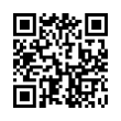 QR Code (код быстрого отклика)