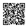 QR Code (код быстрого отклика)