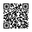 QR Code (код быстрого отклика)